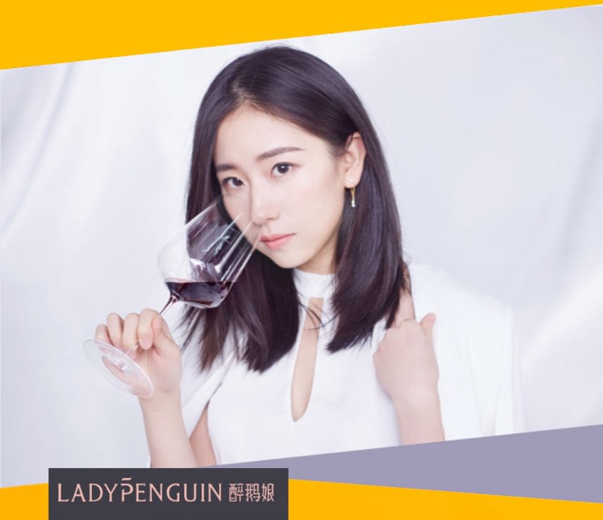 lady-penguin2